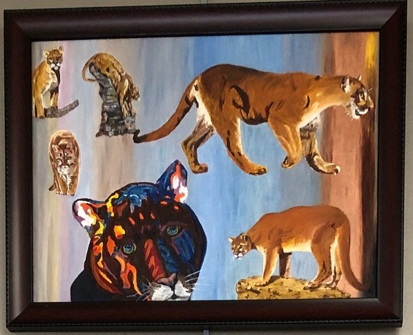 Animal Medicine